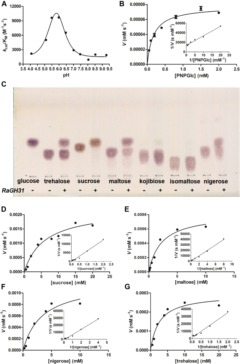 Figure 5