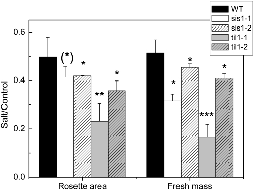 Figure 7.