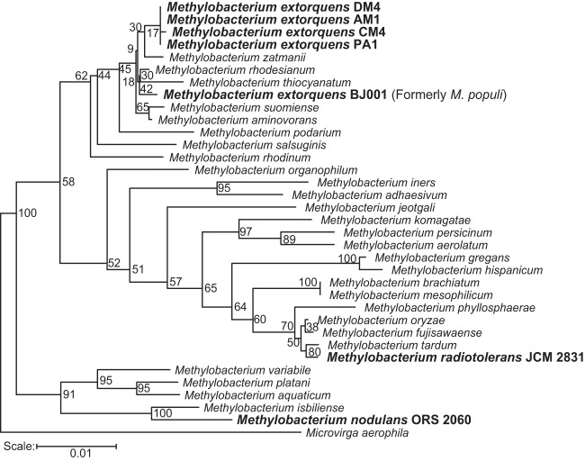 FIG 2