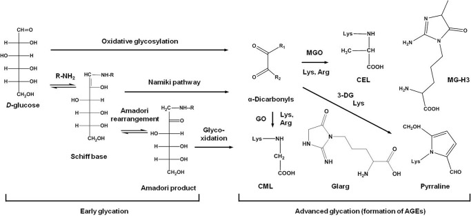 FIGURE 1.