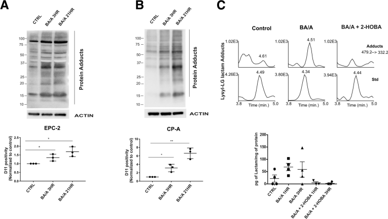 Supplementary Figure 1