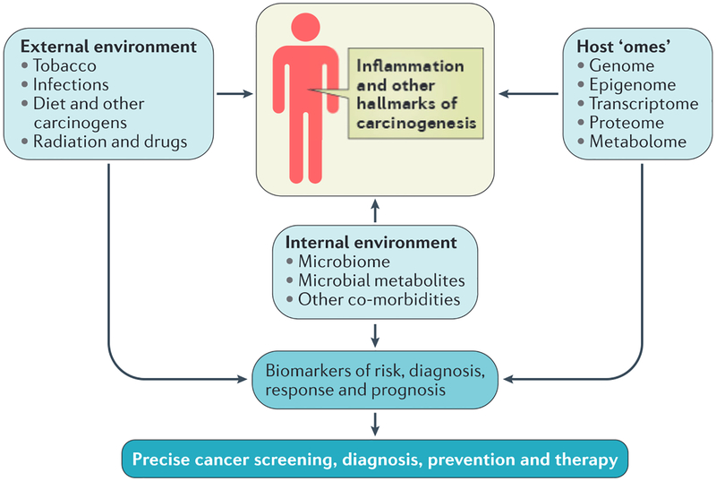 Figure 4|