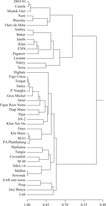 Figure 5