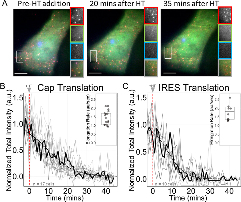 Figure 3: