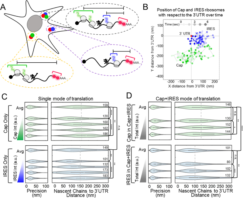 Figure 2: