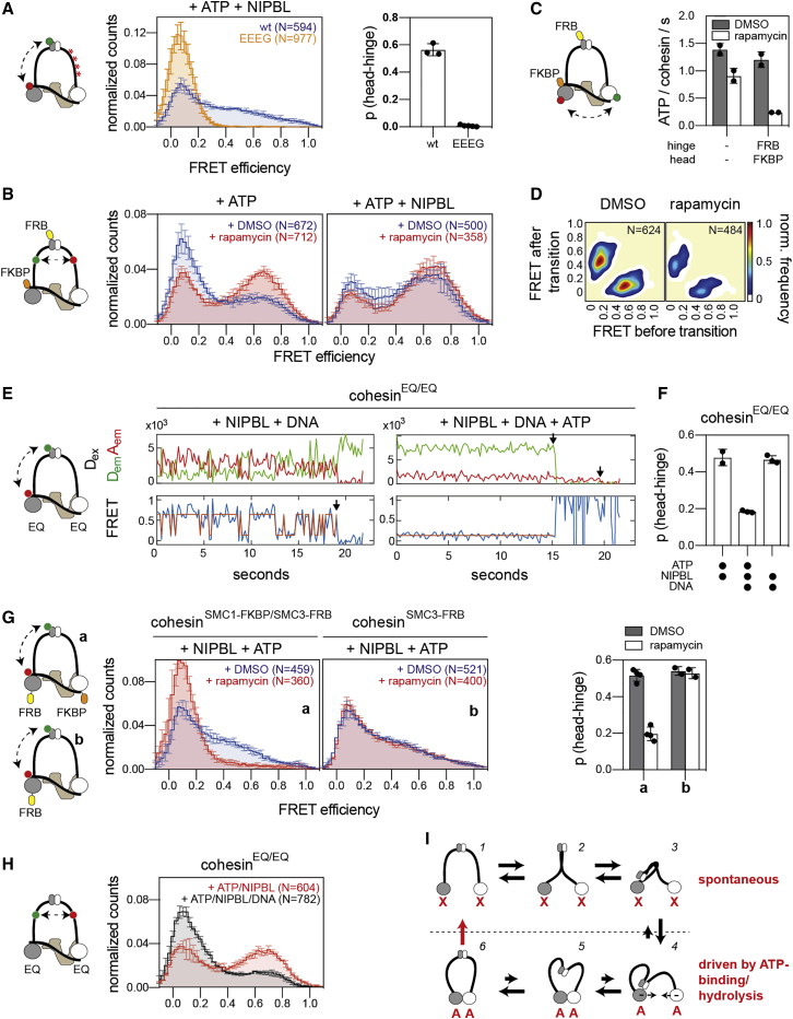 Figure 6