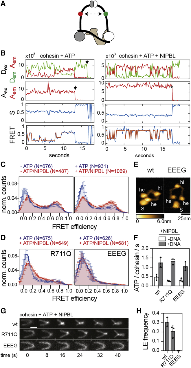 Figure 4