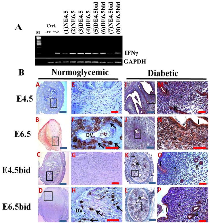 FIG. 6