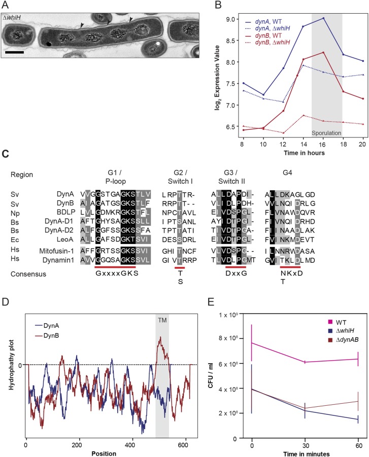 Fig. S1.