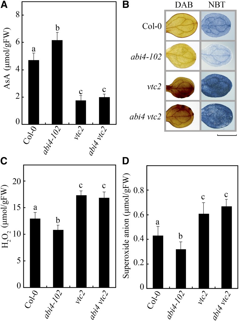 Figure 7.