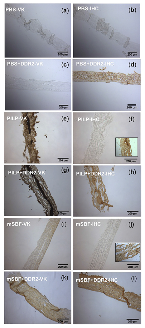 Figure 5: