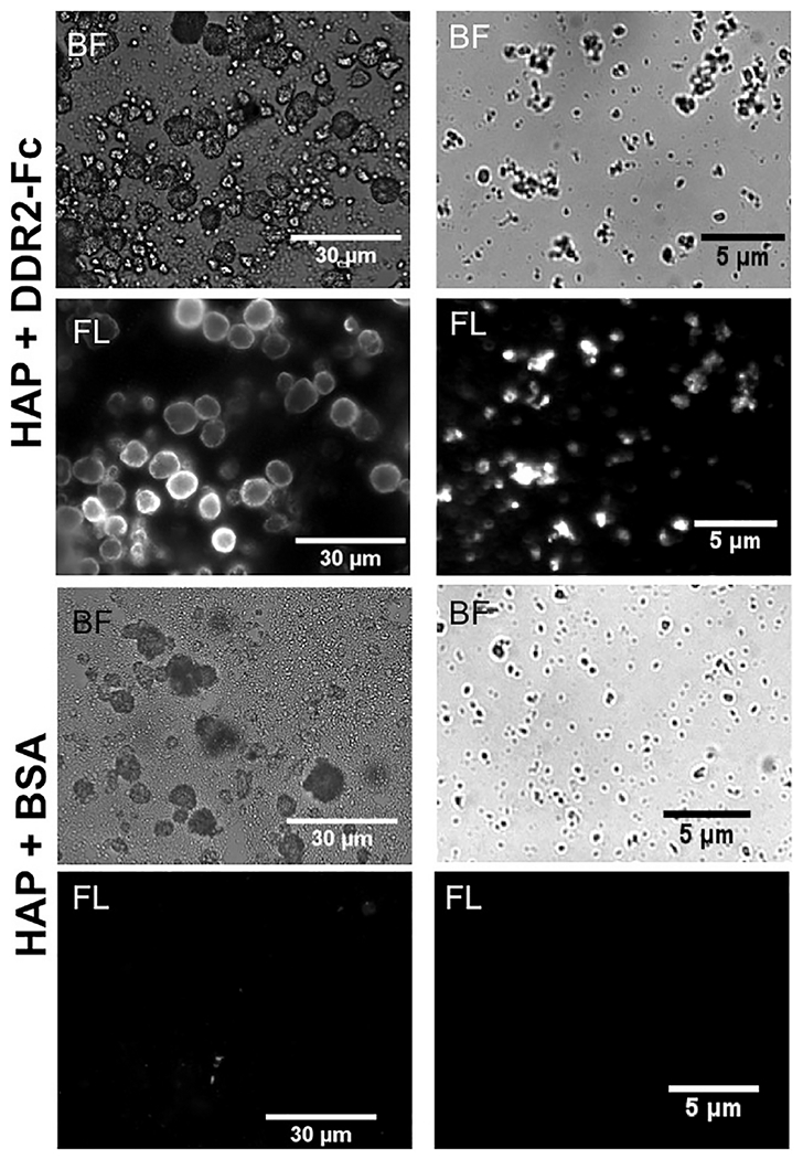 Figure 6: