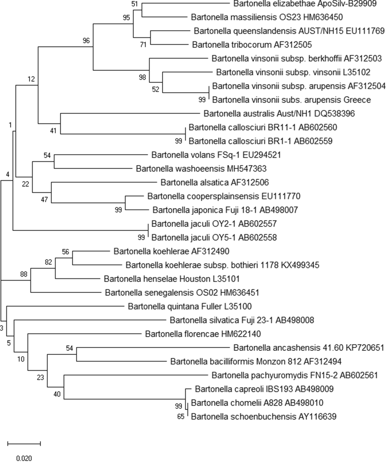 Fig. 1