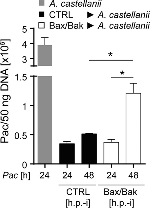 FIG 5