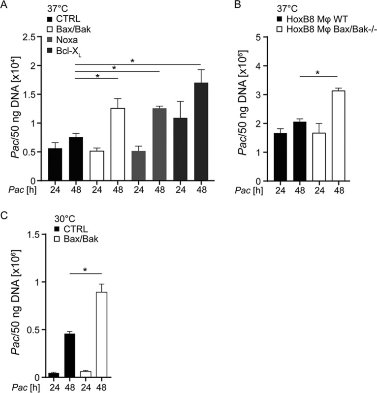 FIG 4