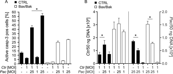 FIG 6