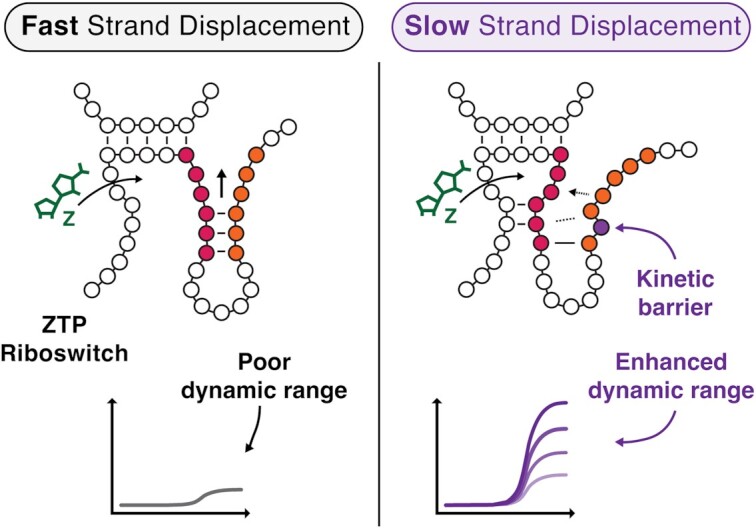 Graphical Abstract