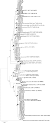 FIG 1