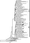 FIG 1