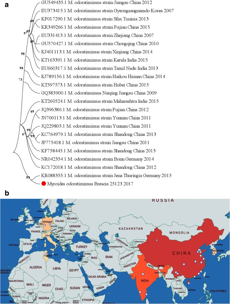 Fig. 1