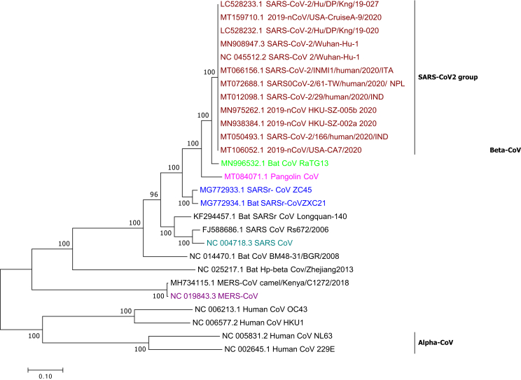 Fig. 2