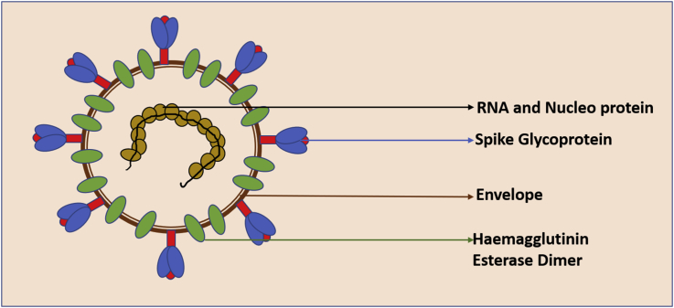 Fig. 1