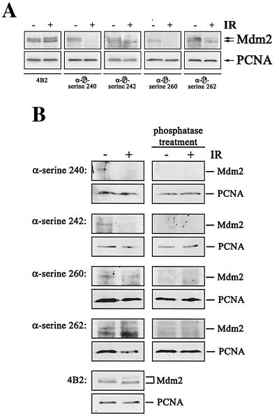 FIG. 8.