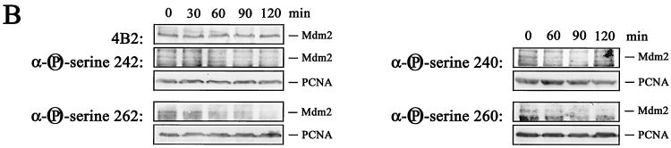 FIG. 9.