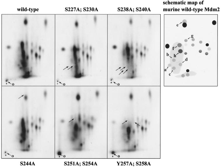 FIG. 6.