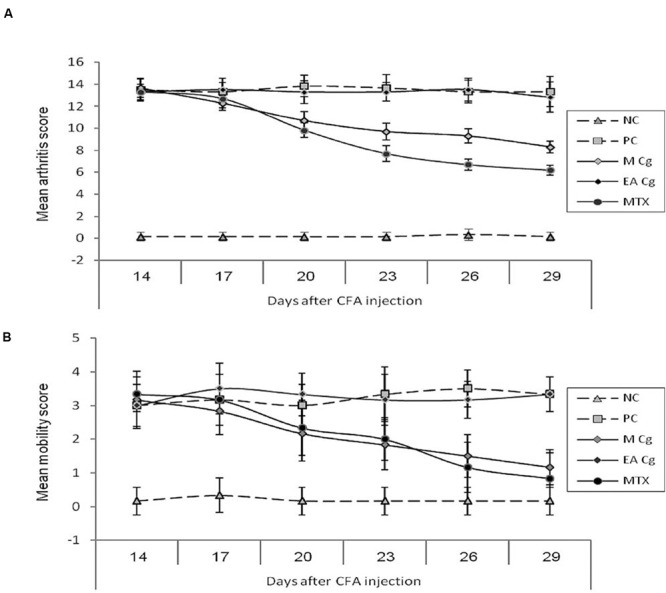 FIGURE 1