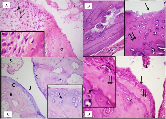 FIGURE 3