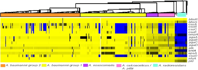 FIG 2