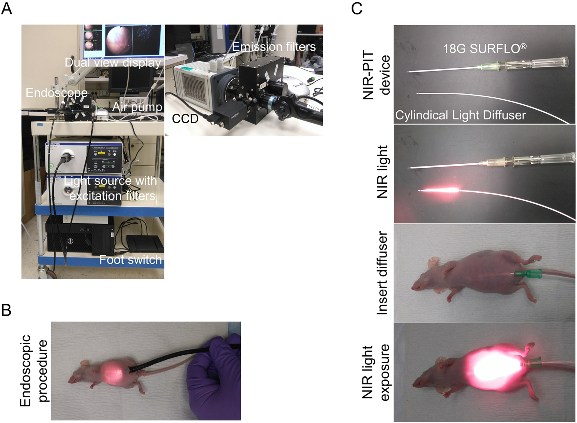 Figure 1.