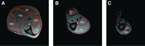 FIG. 4.