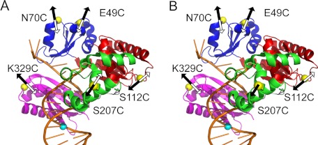 FIGURE 1.