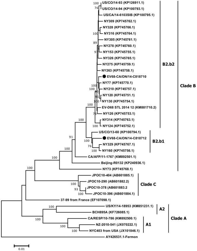 FIGURE 3