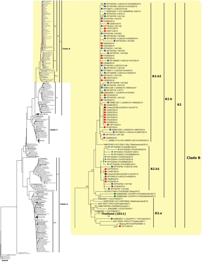 FIGURE 1