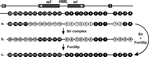 FIGURE 9.