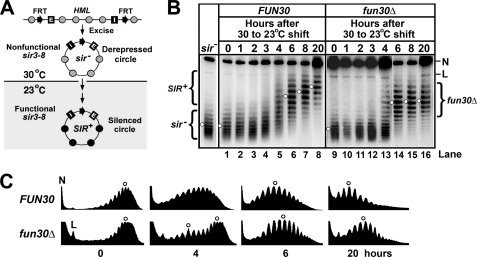 FIGURE 5.