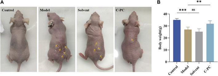 FIGURE 4