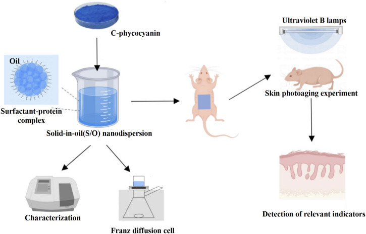 FIGURE 1