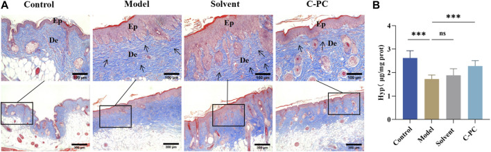 FIGURE 6