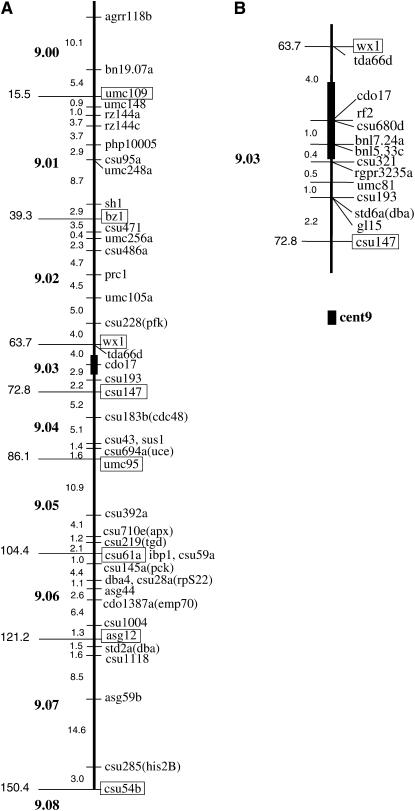 Figure 1.—