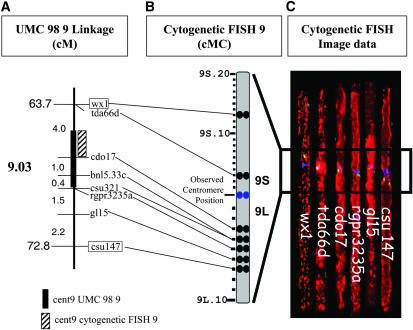 Figure 5.—