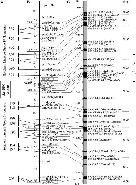 Figure 6.—