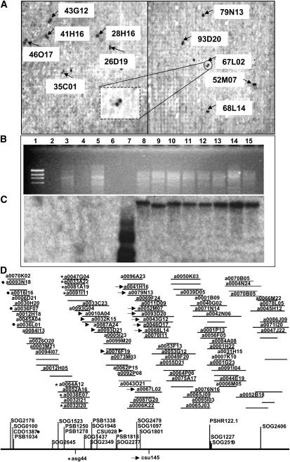 Figure 2.—