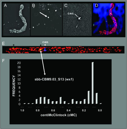 Figure 3.—