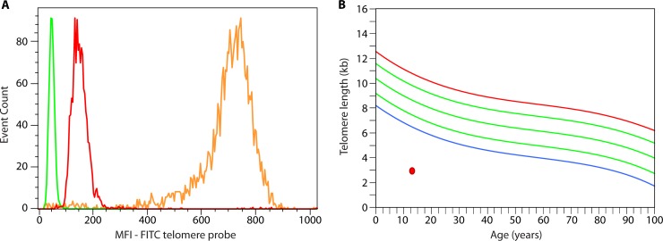 FIG 6