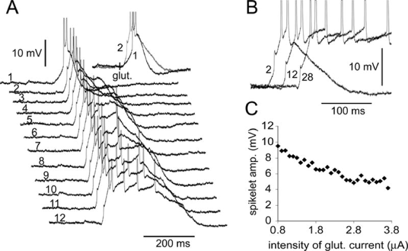 Fig. 11