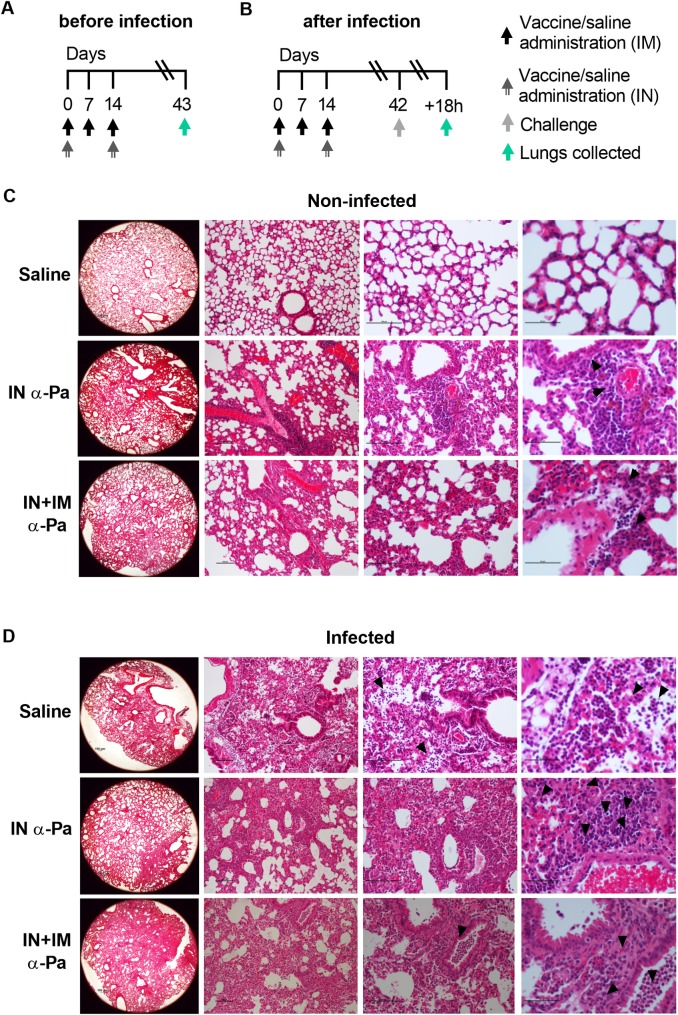 Fig 6